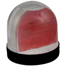 Picture Snow Globe Back